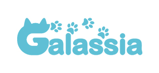 Galassia Store